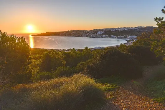 Foresta2000, Malta