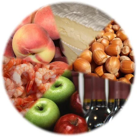 Food ingredients — dietary planning topic photograph