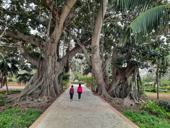 San Anton Gardens, Attard