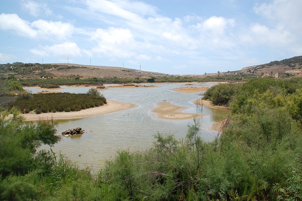Għadira Nature Reserve, Malta