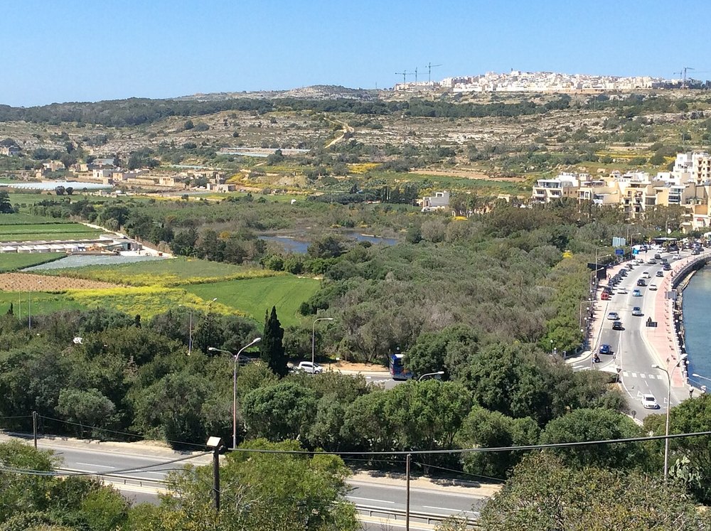 Simar Nature Reserve, Malta