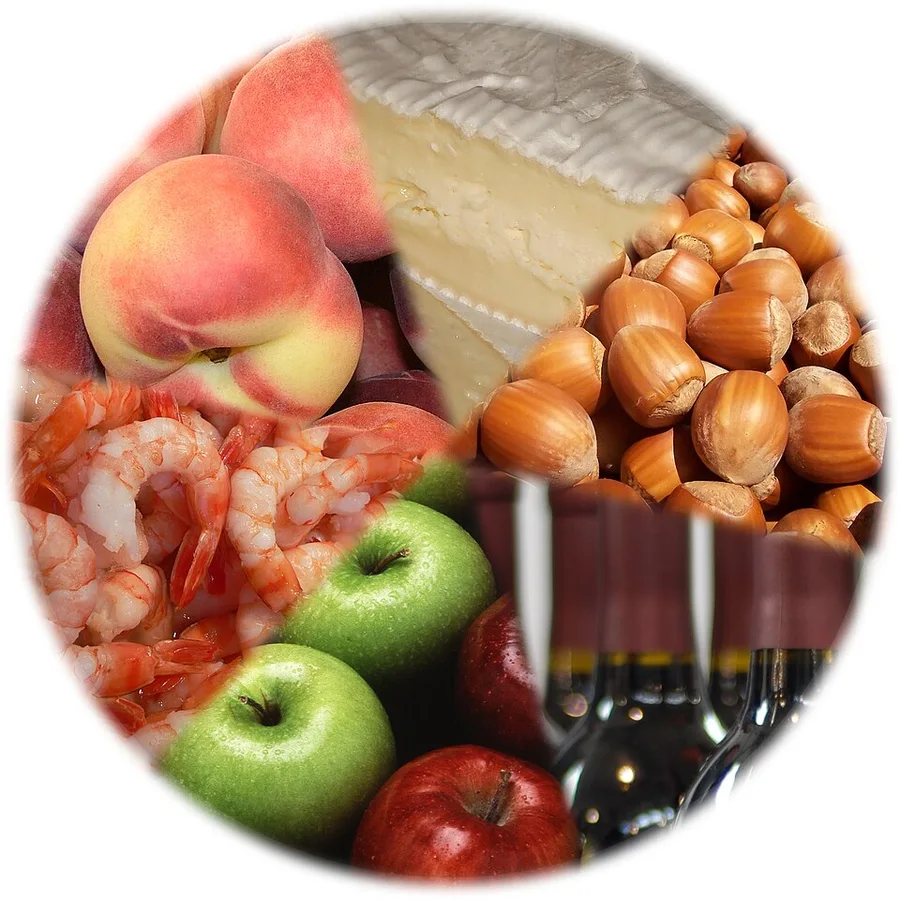 Food ingredients — dietary planning topic photograph